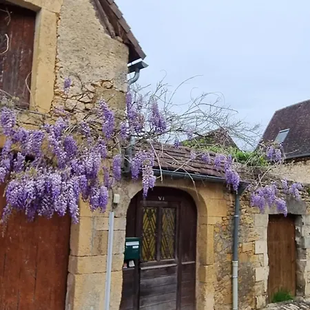 펜션 Maison Climatisee Avec Terrasse Au Coeur Du Perigord - Fr-1-616-419