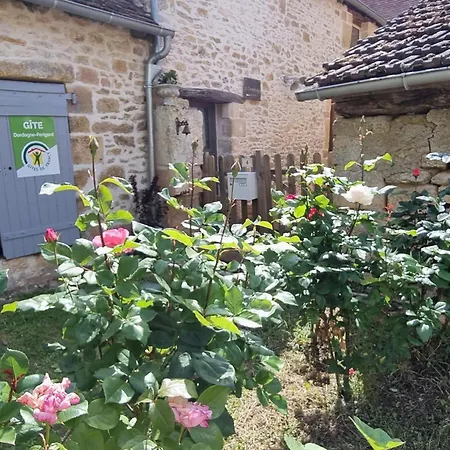 Chaleureuse Escapade Perigourdine Avec Terrasse Et Mezzanine - Fr-1-616-419 Semesterbostad Auriac-du-Périgord